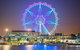 Melbourne Attractions Pass Including Melbourne Zoo, Hop-on Hop-off Bus And SEA LIFE Aquarium - thumb 8