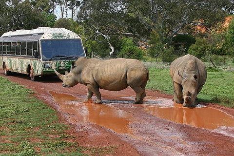 Melbourne Attractions Pass Including Melbourne Zoo, Hop-on Hop-off Bus And SEA LIFE Aquarium - Tweed Heads Accommodation 13