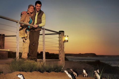 Melbourne Attractions Pass Including Melbourne Zoo, Hop-on Hop-off Bus And SEA LIFE Aquarium - Tweed Heads Accommodation 10