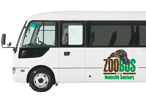 HEALESVILLE SANCTUARY ZOOBUS - MELBOURNE CITY RETURN - Tweed Heads Accommodation 1