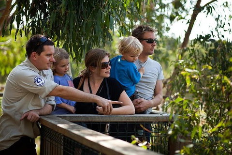 Phillip Island Koala Conservation Centre: Entry Ticket - Tweed Heads Accommodation 1