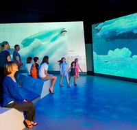 Phillip Island Antarctic Journey Entry ticket - Tweed Heads Accommodation