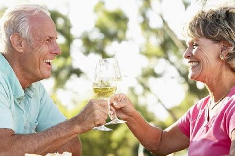 Phillip Island Wine Experience Tour - Tweed Heads Accommodation 1