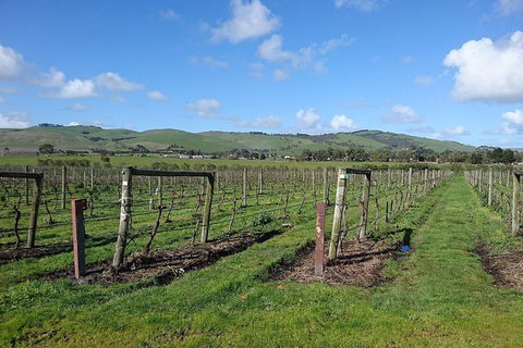 Phillip Island Wine Experience Tour - Tweed Heads Accommodation 4