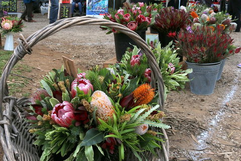 Mornington Peninsula Markets Shuttle By Boat From Phillip Island - Tweed Heads Accommodation 1