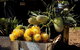 Mornington Peninsula Markets Shuttle By Boat From Phillip Island - thumb 7