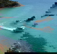 Cape Woolamai Sightseeing Cruise from San Remo - Tweed Heads Accommodation
