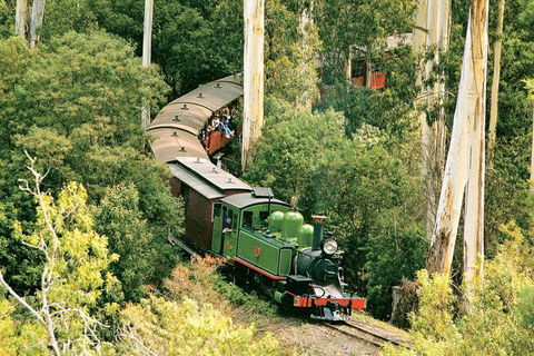 Dandenong Ranges Tour By Puffing Billy Steam Train - Tweed Heads Accommodation 3