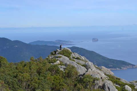 Melbourne To Wilsons Promontory Shuttle Tour - Tweed Heads Accommodation 0