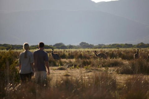 Melbourne To Wilsons Promontory Shuttle Tour - Tweed Heads Accommodation 3