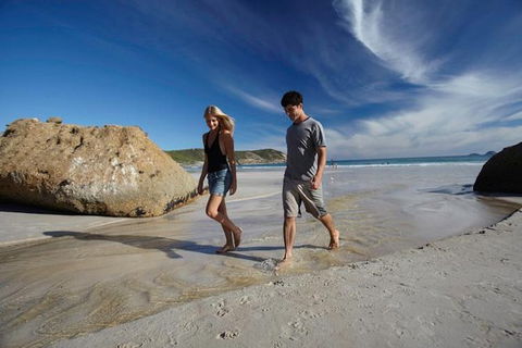 Melbourne To Wilsons Promontory Shuttle Tour - Tweed Heads Accommodation 4