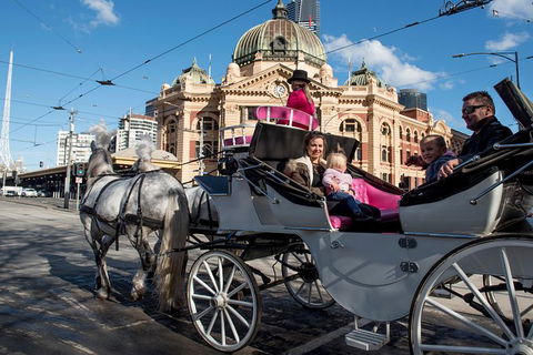 Melbourne Horse Drawn Carriages 30 Minute Garden Tour - Tweed Heads Accommodation 0