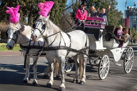 Melbourne Horse Drawn Carriages 30 Minute Garden Tour - Tweed Heads Accommodation 1