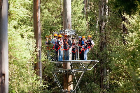 Adventure Sunset Three Day Great Ocean Road Tour - Tweed Heads Accommodation 26