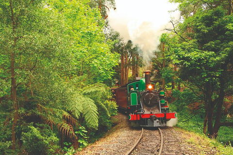 Half Day Puffing Billy Train Journey From Melbourne - Tweed Heads Accommodation 2