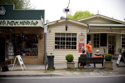 Half Day Puffing Billy Train Journey From Melbourne - Tweed Heads Accommodation 10