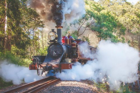 Half Day Puffing Billy Train Journey From Melbourne - Tweed Heads Accommodation 4