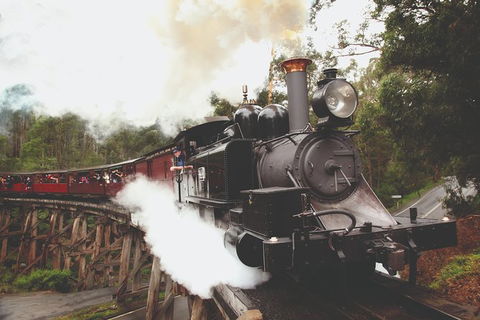 Half Day Puffing Billy Train Journey From Melbourne - Tweed Heads Accommodation 3