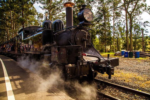 Half Day Puffing Billy Train Journey From Melbourne - Tweed Heads Accommodation 6