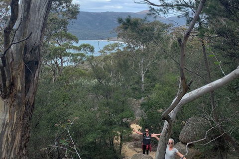 Wineglass Bay And Freycinet National Park Active Day Trip From Hobart - Tweed Heads Accommodation 14