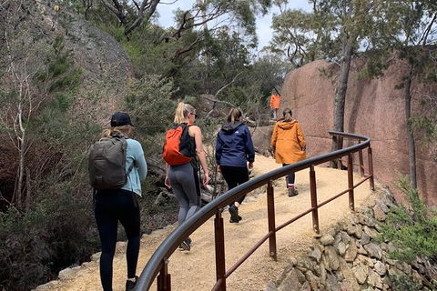 Wineglass Bay And Freycinet National Park Active Day Trip From Hobart - Tweed Heads Accommodation 25