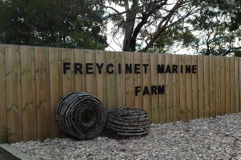 Wineglass Bay And Freycinet National Park Active Day Trip From Hobart - Tweed Heads Accommodation 20