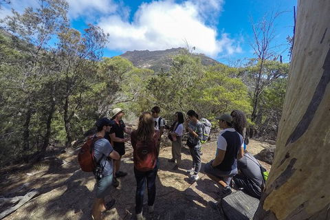 Wineglass Bay And Freycinet National Park Active Day Trip From Hobart - Tweed Heads Accommodation 9
