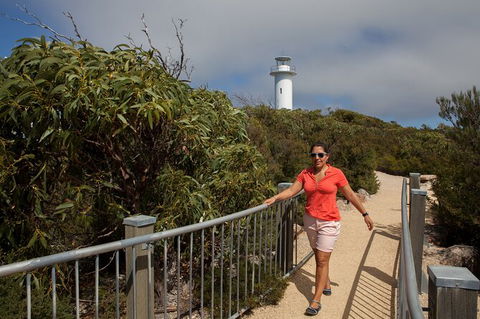 Wineglass Bay And Freycinet National Park Active Day Trip From Hobart - Tweed Heads Accommodation 29