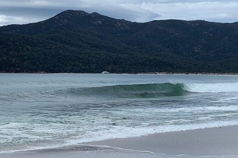 Wineglass Bay And Freycinet National Park Active Day Trip From Hobart - Tweed Heads Accommodation 17