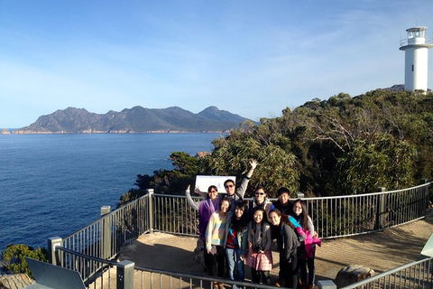 Wineglass Bay And Freycinet National Park Active Day Trip From Hobart - Tweed Heads Accommodation 23