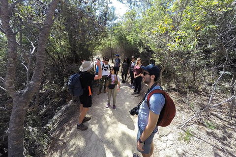 Wineglass Bay And Freycinet National Park Active Day Trip From Hobart - Tweed Heads Accommodation 19