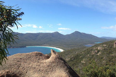 Wineglass Bay And Freycinet National Park Active Day Trip From Hobart - Tweed Heads Accommodation 33