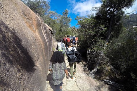 Wineglass Bay And Freycinet National Park Active Day Trip From Hobart - Tweed Heads Accommodation 21