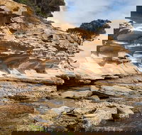 Maria Island premium private photo-oriented day tour from Hobart - Tweed Heads Accommodation