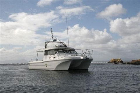 Bonnet Island Experience Departing From Strahan - Tweed Heads Accommodation 1