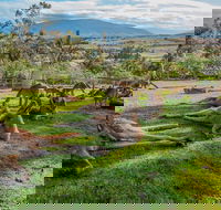 Shore Excursion Hobart's Best In Half A Day - Tweed Heads Accommodation