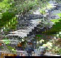 Mt Field National Park and Russell Falls from Hobart - Tweed Heads Accommodation