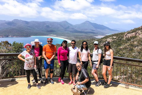 Wineglass Bay & Freycinet NP Full Day Tour From Hobart Via Richmond Village - Tweed Heads Accommodation 12