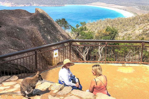 Wineglass Bay & Freycinet NP Full Day Tour From Hobart Via Richmond Village - Tweed Heads Accommodation 7