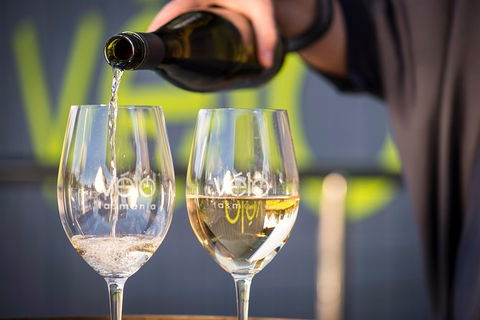 Half Day Tamar Valley Wine Tour - Tweed Heads Accommodation 1