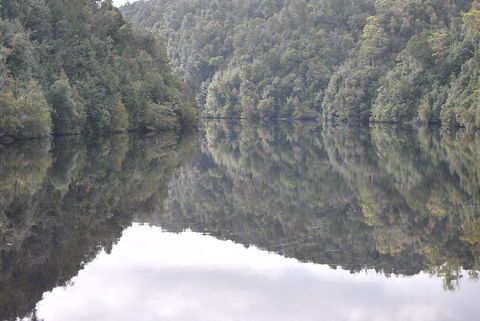 Gordon River Cruise Departing From Strahan - Tweed Heads Accommodation 17