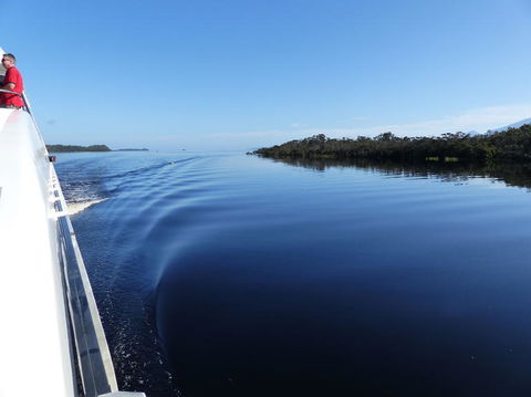 Gordon River Cruise Departing From Strahan - Tweed Heads Accommodation 3
