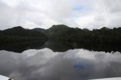 Gordon River Cruise Departing From Strahan - Tweed Heads Accommodation 18