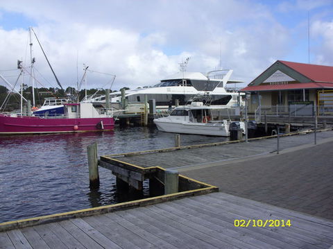 Gordon River Cruise Departing From Strahan - Tweed Heads Accommodation 14
