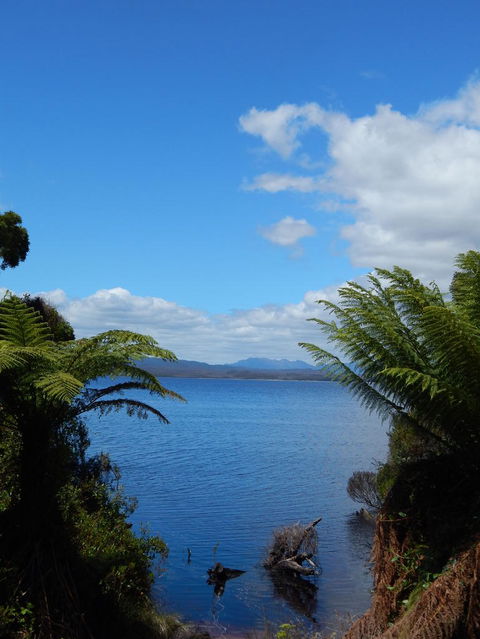 Gordon River Cruise Departing From Strahan - Tweed Heads Accommodation 20