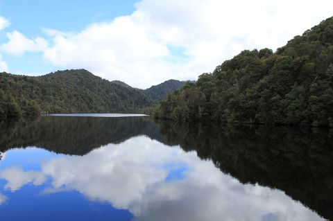 Gordon River Cruise Departing From Strahan - Tweed Heads Accommodation 21