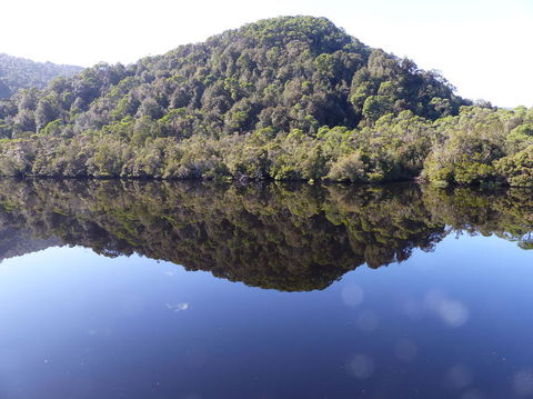 Gordon River Cruise Departing From Strahan - Tweed Heads Accommodation 4