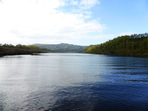 Gordon River Cruise Departing From Strahan - Tweed Heads Accommodation 10