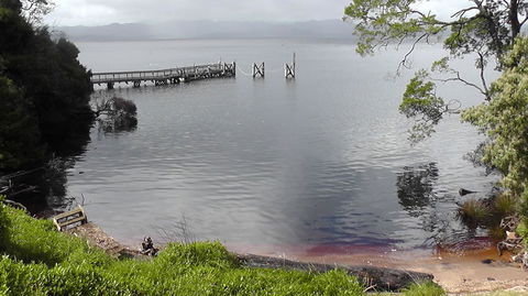 Gordon River Cruise Departing From Strahan - Tweed Heads Accommodation 22