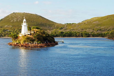Gordon River Cruise Departing From Strahan - Tweed Heads Accommodation 25